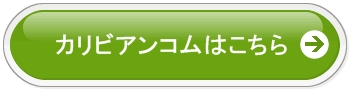 カリビアンコム安心